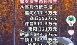 三门峡头条爆料视频,视频揭秘惊人内幕